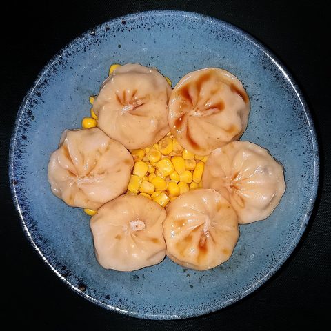 Representative photograph of chicken dumplings