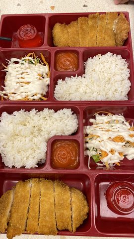Representative photograph of chicken katsu