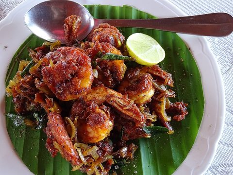 Representative photograph of prawn fry