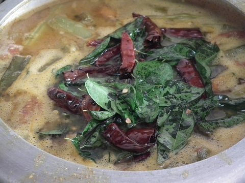 Representative photograph of sambar